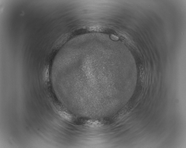 X0000072530502200607290228