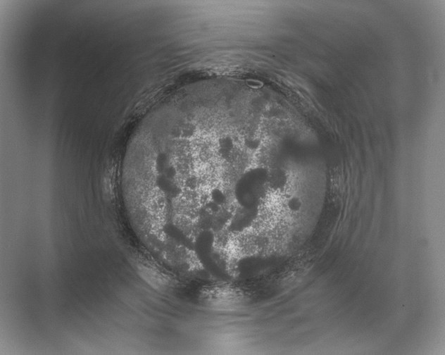 X0000072530503200607290228