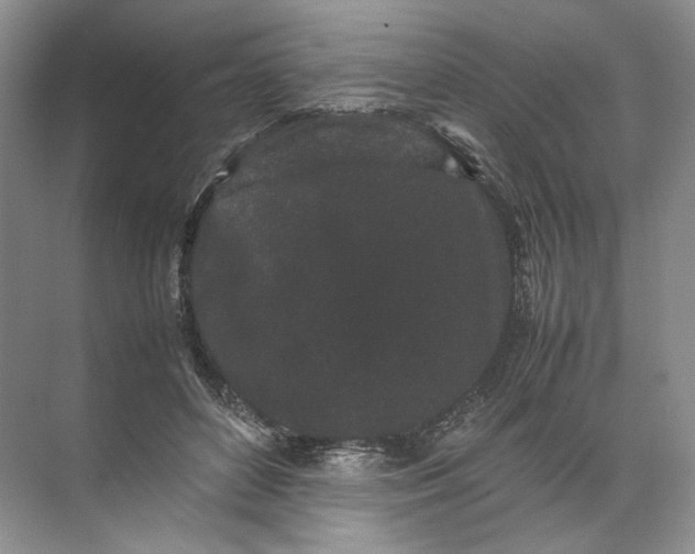 X0000072530504200607290228