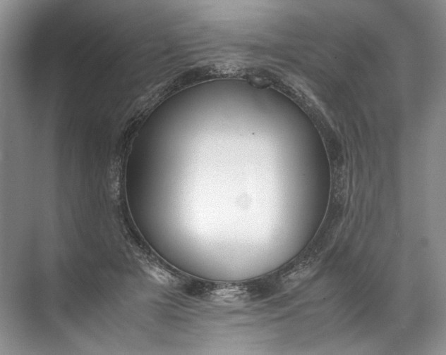 X0000072530505200607290228