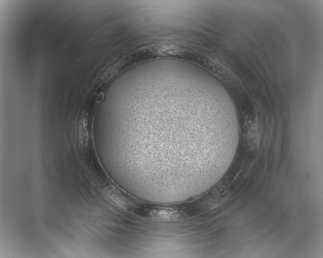 X0000072530506200607290228