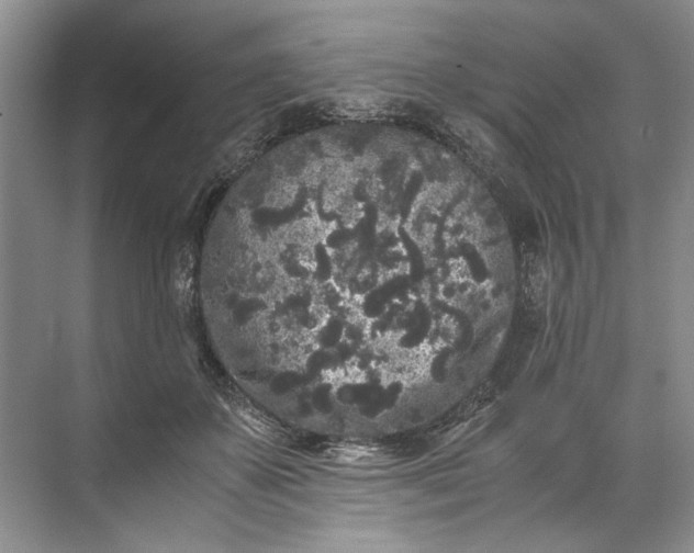 X0000072530507200607290228