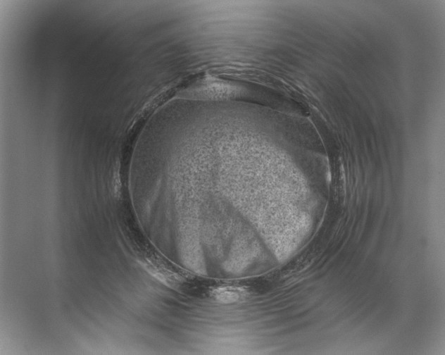 X0000072530508200607290228