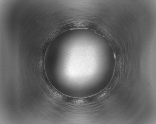 X0000072530513200607290228