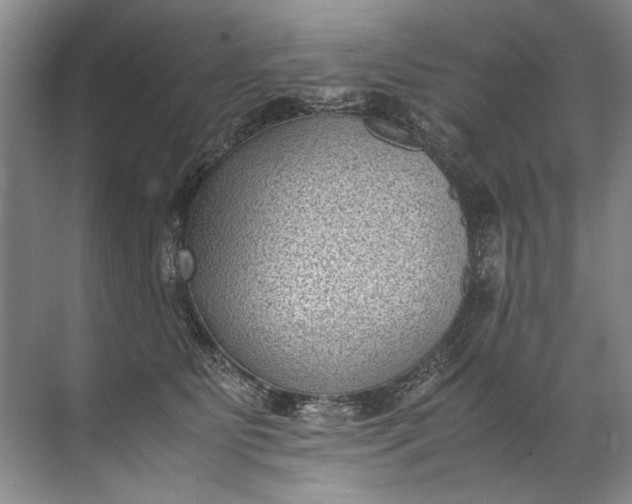 X0000072530515200607290228