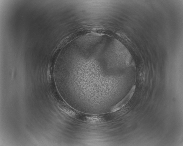 X0000072530516200607290228