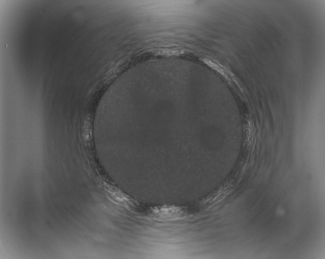 X0000072530517200607290227