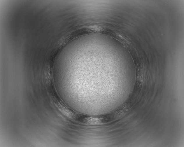 X0000072530518200607290227