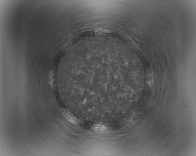 X0000072530519200607290227