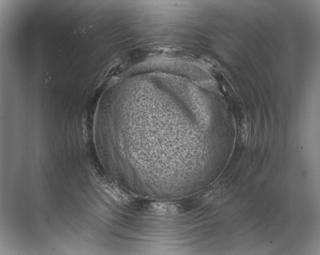 X0000072530520200607290227