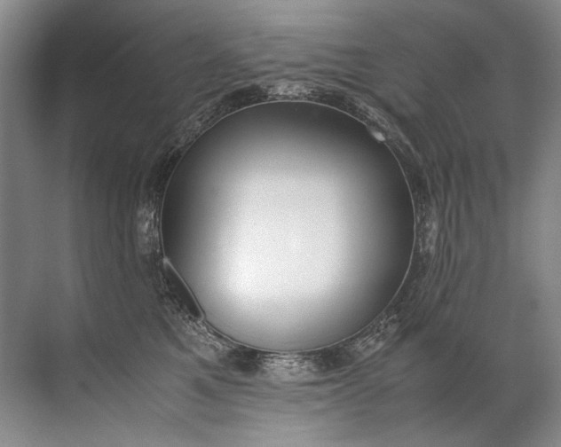 X0000072530521200607290227