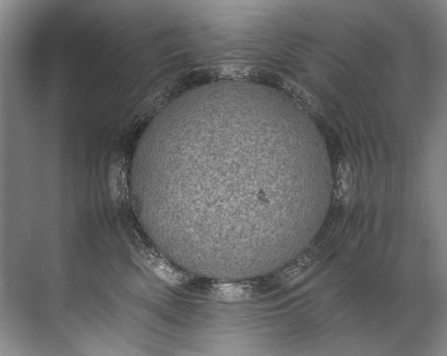 X0000072530522200607290227