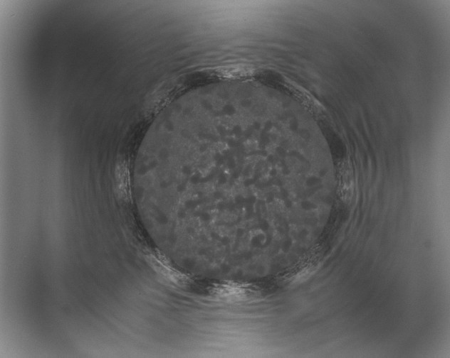 X0000072530523200607290227