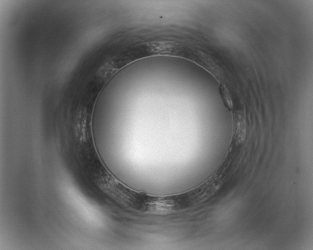 X0000072530525200607290227