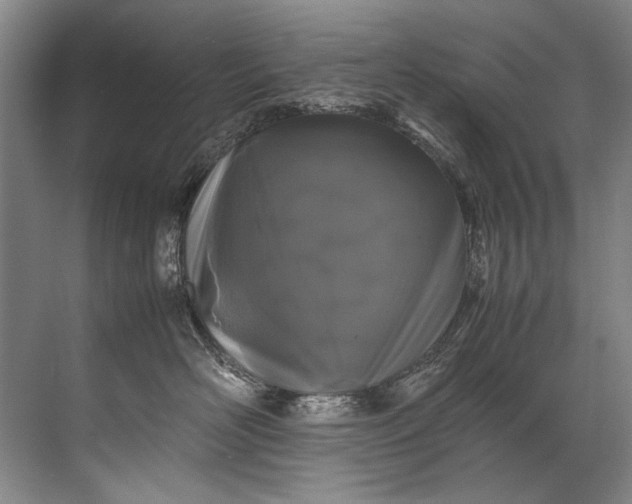 X0000072530526200607290227