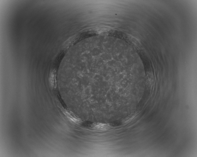 X0000072530527200607290227