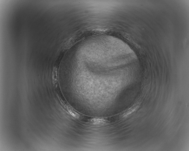 X0000072530528200607290227