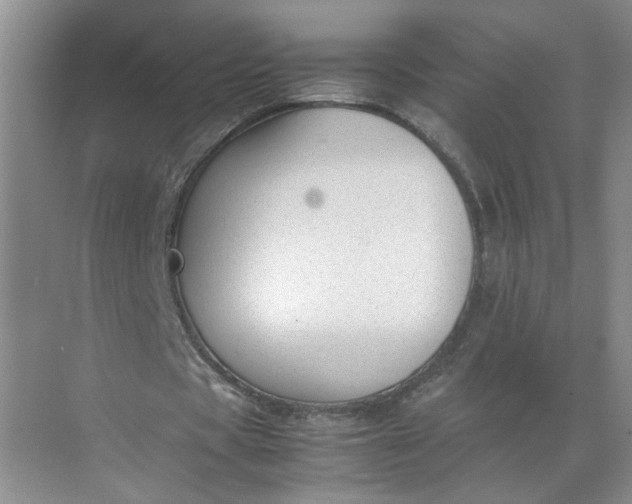 X0000072530529200607290227