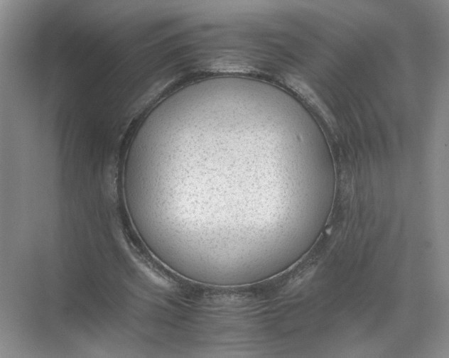 X0000072530533200607290227