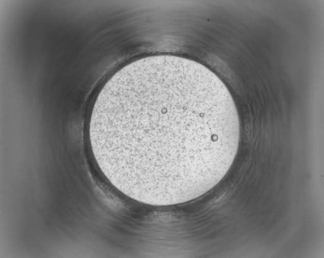 X0000072530534200607290227