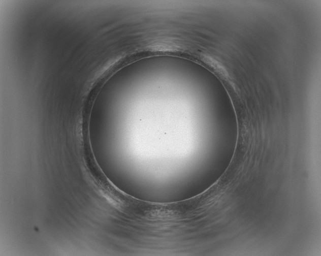 X0000072530535200607290227