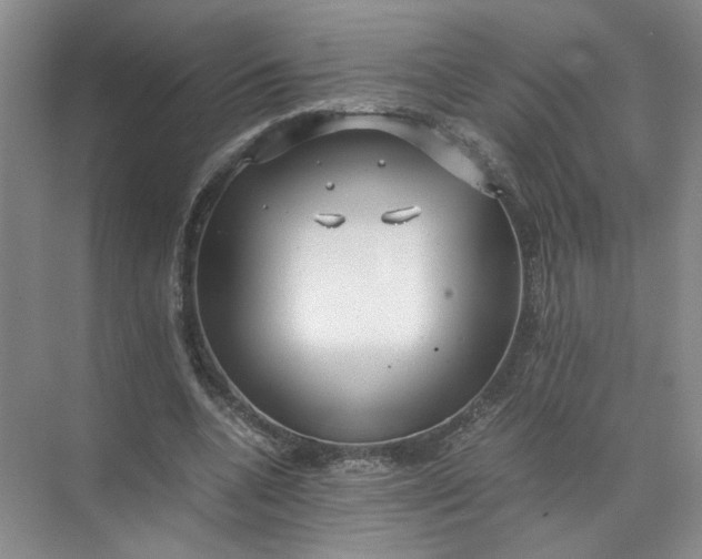 X0000072530536200607290227