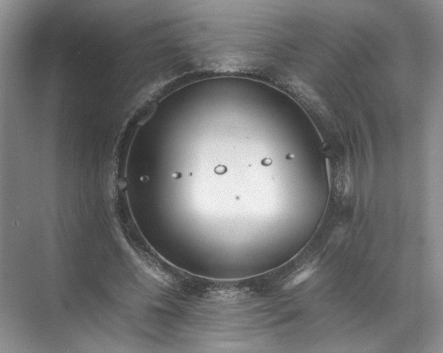 X0000072530540200607290227