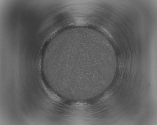 X0000072530542200607290227