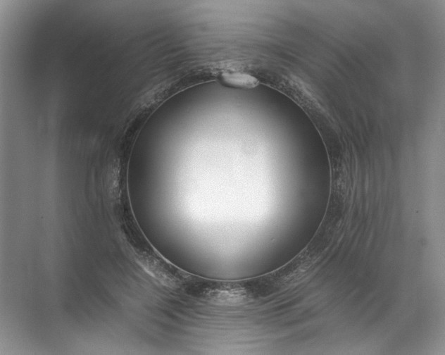 X0000072530548200607290227