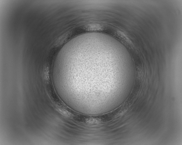 X0000072530549200607290227