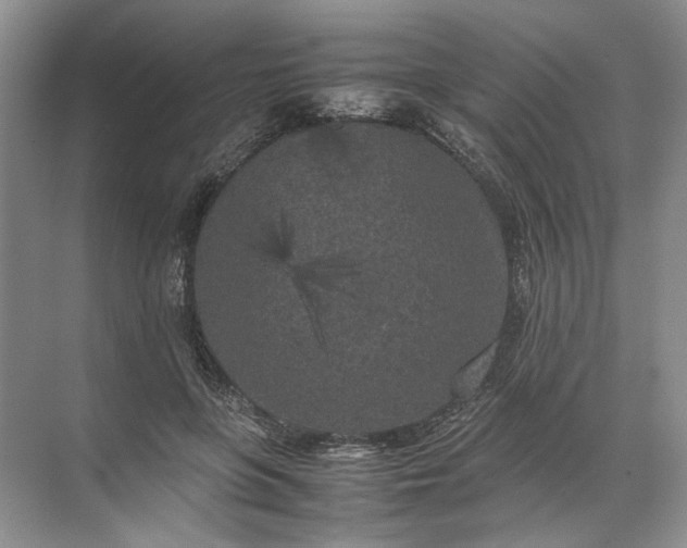 X0000072530551200607290227