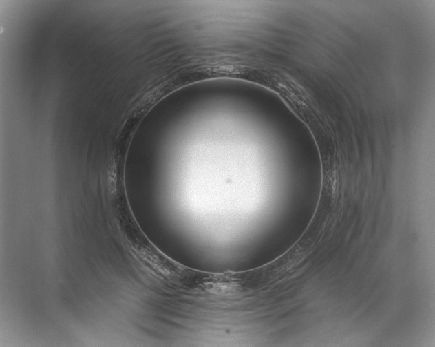 X0000072530552200607290227