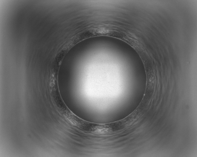 X0000072530555200607290227