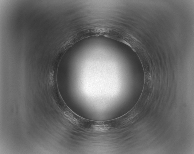 X0000072530556200607290227