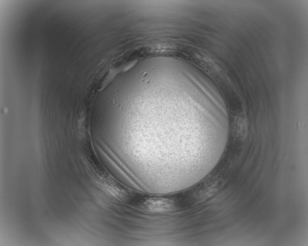 X0000072530557200607290227