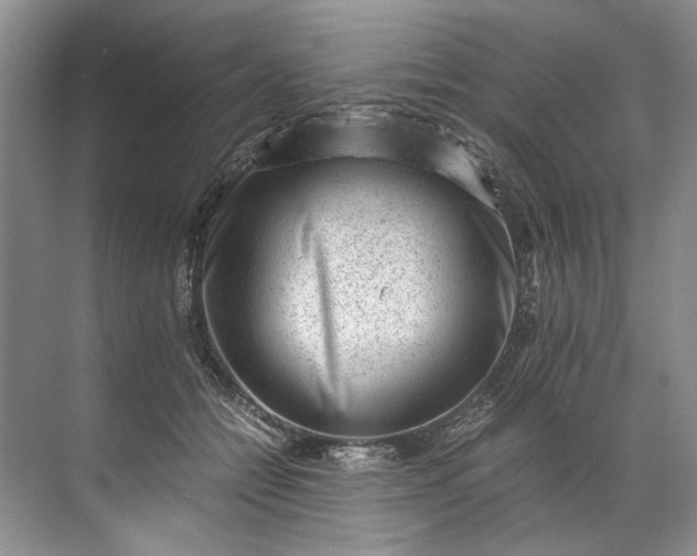 X0000072530558200607290227