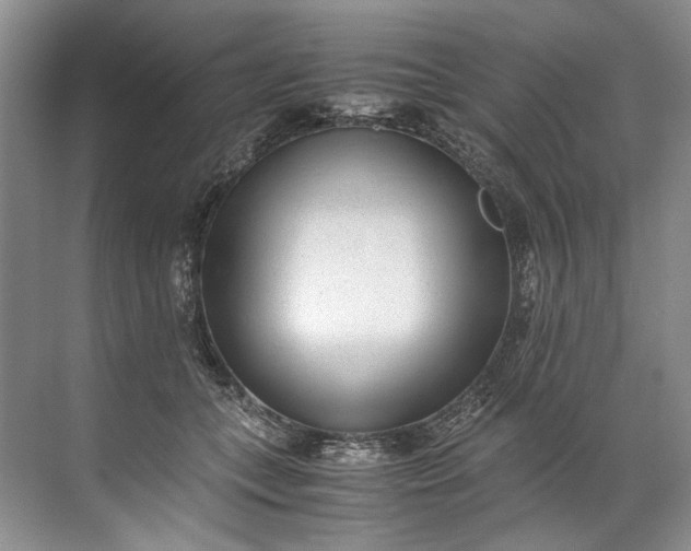 X0000072530559200607290227