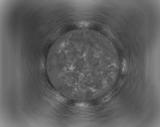 X0000072530561200607290227