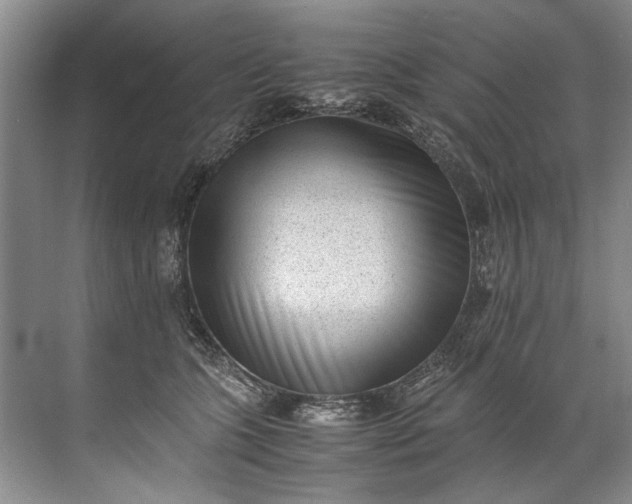 X0000072530563200607290227