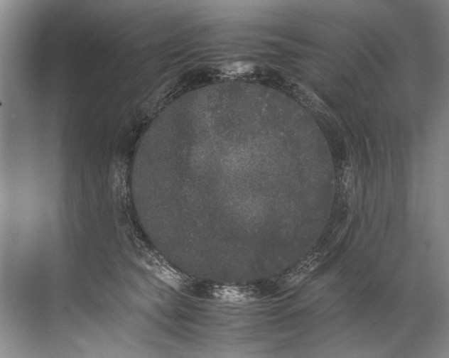 X0000072530565200607290227