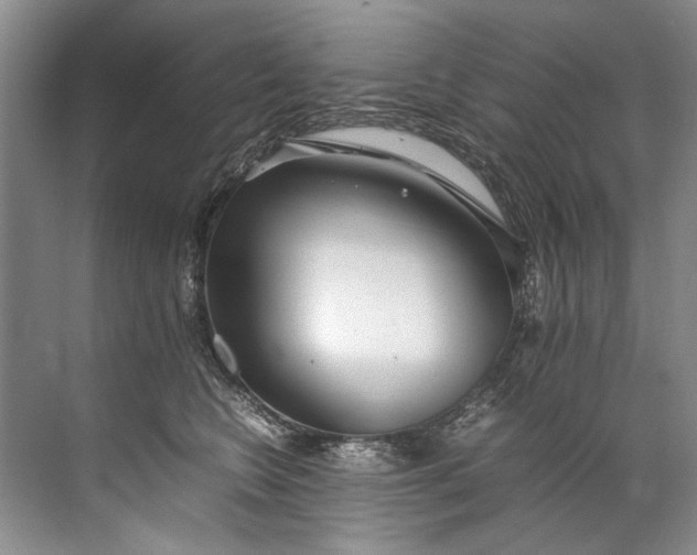 X0000072530566200607290227