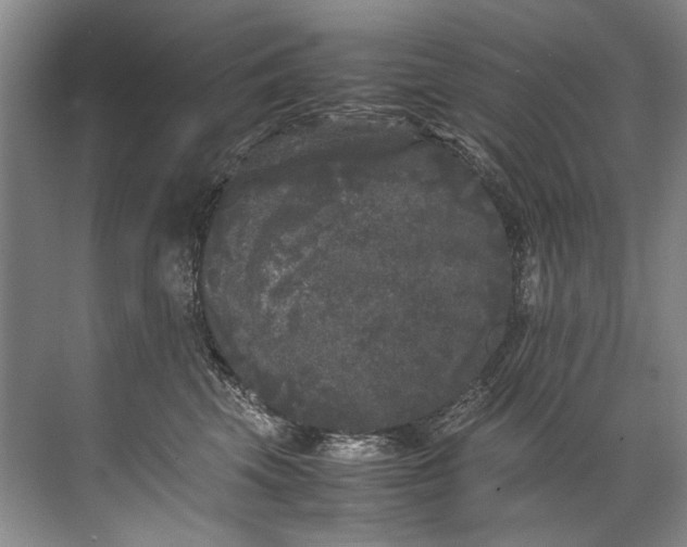 X0000072530569200607290227