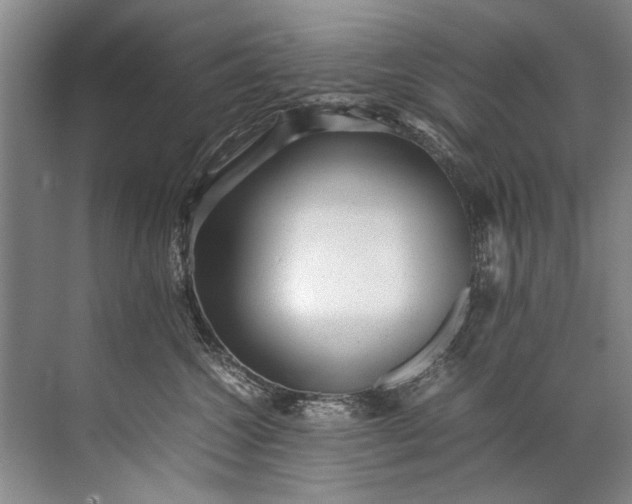 X0000072530572200607290227