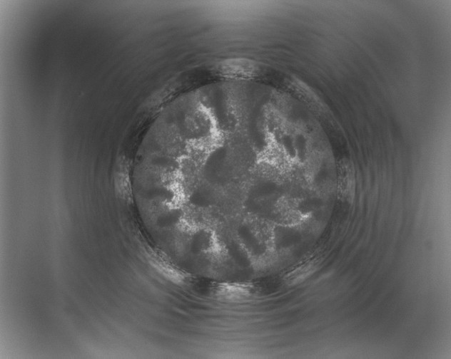 X0000072530573200607290227