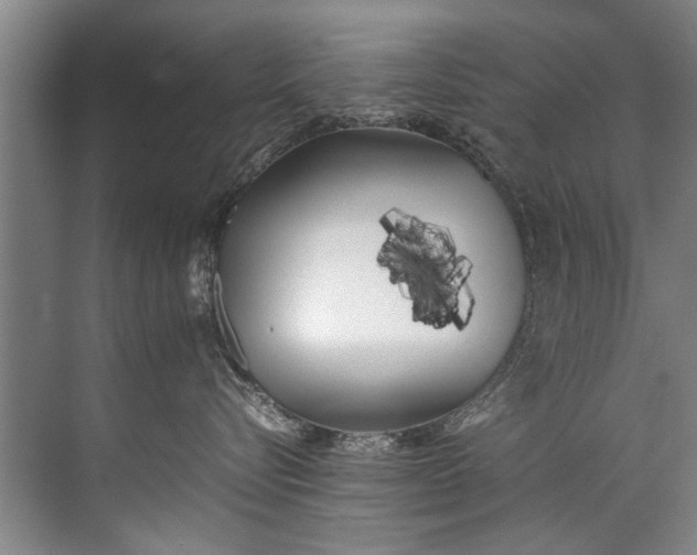 X0000072530576200607290227