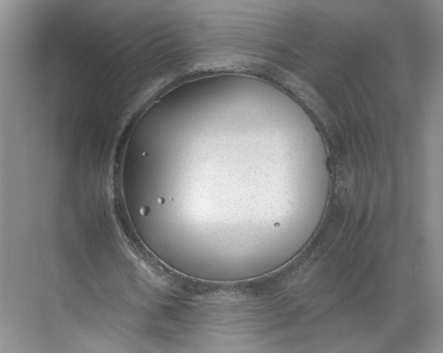 X0000072530578200607290226