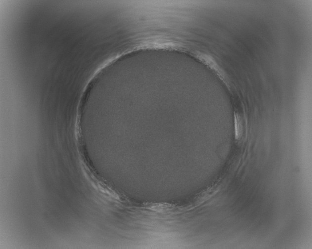 X0000072530579200607290226