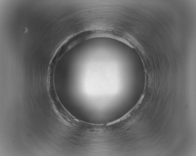 X0000072530580200607290226