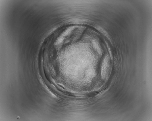 X0000072530581200607290226