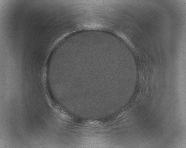 X0000072530583200607290226